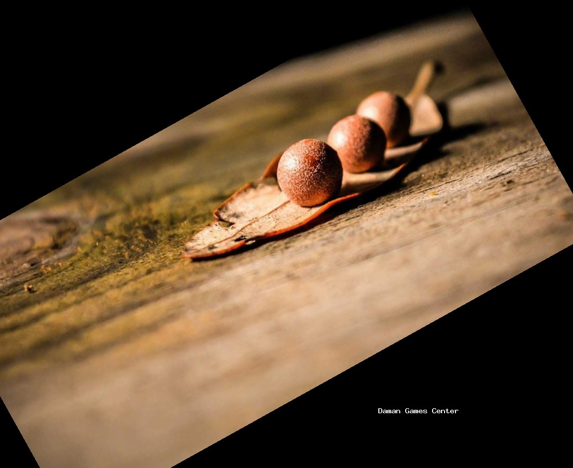 Maestros Divine Expedition Cultural Impact - Indian gamers of all ages playing the game at a community center in rural Rajasthan